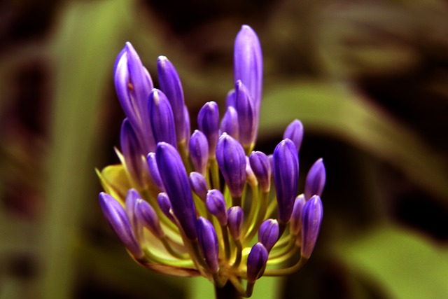 缺少时间 缺少时间