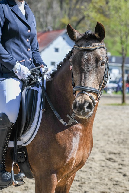 这为贵阳的 这为贵阳的