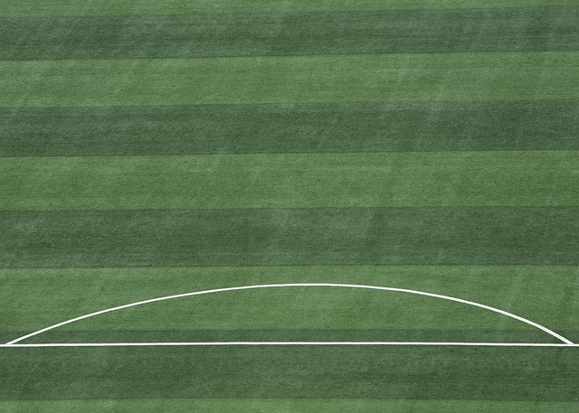 将为中国篮 将为中国篮