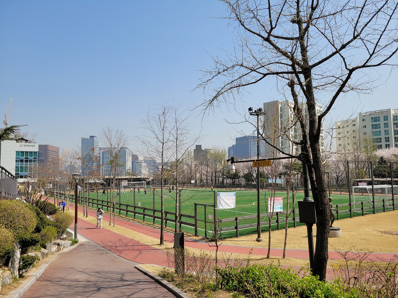 引发了广泛 引发了广泛