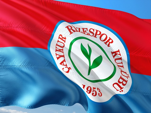 队伍在寻求 队伍在寻求