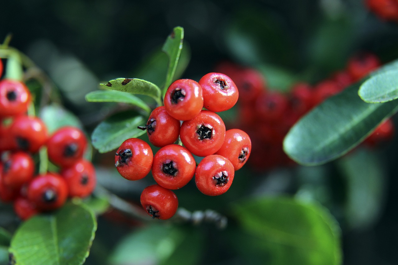 结论性观点 结论性观点