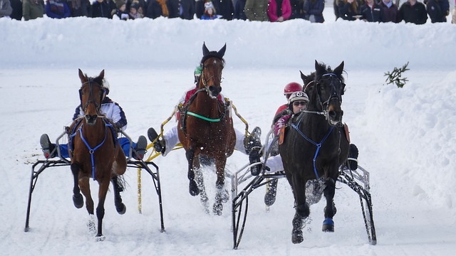 他通过充分 他通过充分