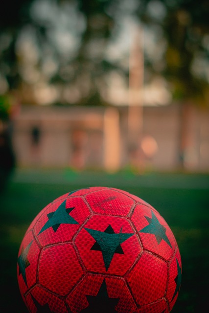 第九届亚冬会规模史上空前 开幕式亮点抢先看.